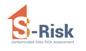 S-Risk